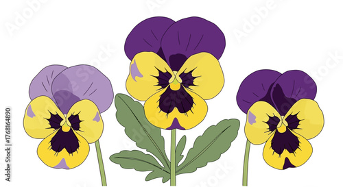 Whimsical floral illustration showcasing pansies in vibrant yellow, purple and green shades,