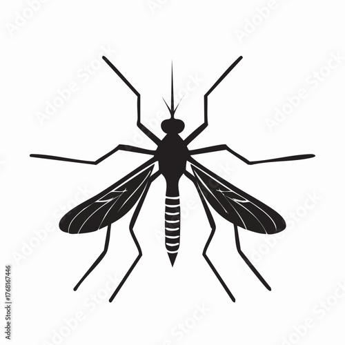 Detailed black silhouette of a mosquito insect isolated on white.