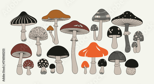 A whimsical collection of diverse illustrated mushrooms in various colors and patterns.