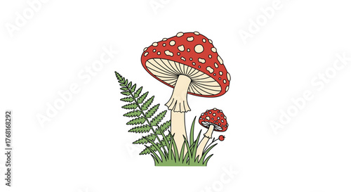 Illustration of red and white spotted mushrooms with a fern and grass.