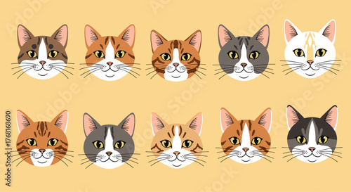 A variety of cute cartoon cat faces with different fur patterns and colors arranged in rows.