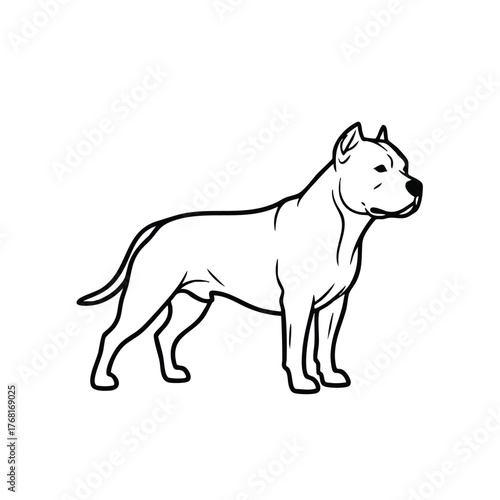 Strong and muscular dog standing alert with a confident stance and attentive expression, showcasing a powerful and loyal breed