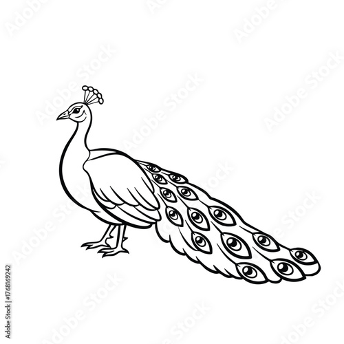Elegant peacock with detailed feathers showcasing vibrant eye patterns and a graceful stance in a minimalistic style
