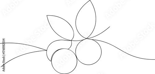 Black line art of berries and leaves berry fruit