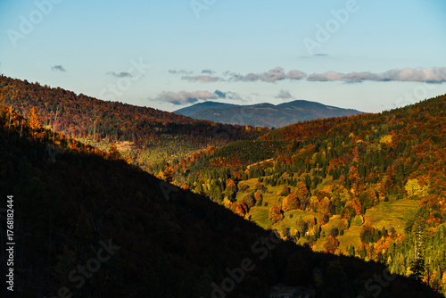 Fototapeta Naklejka Na Ścianę i Meble -  A mountain covered in trees with a blue sky in the background - Beskids Mountains, Poland