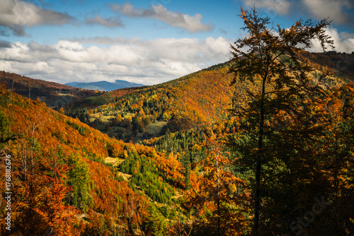 Fototapeta Naklejka Na Ścianę i Meble -  A mountain covered in trees with a blue sky in the background - Beskids Mountains, Poland