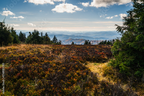 Fototapeta Naklejka Na Ścianę i Meble -  The mountains are covered in trees and the sky is cloudy - vew from Wielka Racza in Beskids Mountains, Poland.