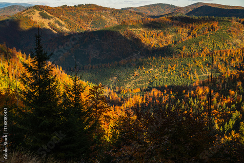 Fototapeta Naklejka Na Ścianę i Meble -  The mountains are covered in trees and the sky is cloudy - vew from Wielka Racza in Beskids Mountains, Poland.