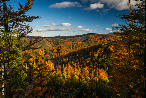 Fototapeta Naklejka Na Ścianę i Meble -  A mountain covered in trees with a blue sky in the background - Beskids Mountains, Poland