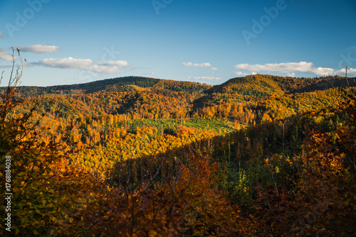 Fototapeta Naklejka Na Ścianę i Meble -  A mountain covered in trees with a blue sky in the background - Beskids Mountains, Poland