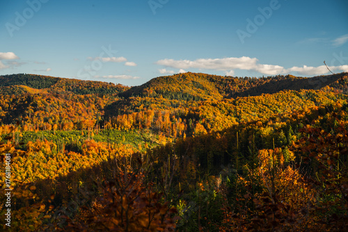 Fototapeta Naklejka Na Ścianę i Meble -  A mountain covered in trees with a blue sky in the background - Beskids Mountains, Poland