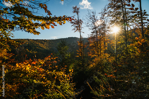 Fototapeta Naklejka Na Ścianę i Meble -  A mountain covered in trees with a blue sky in the background - Beskids Mountains, Poland
