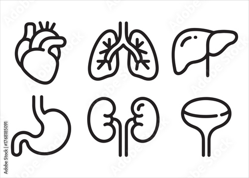  Set of six human internal organ icons in a simple line art style