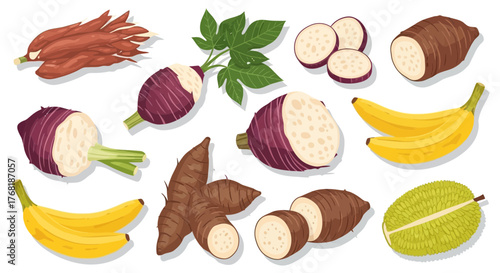 Vibrant assortment of fresh tropical produce creates a healthy and appetizing presentation for food marketing or culinary design projects. Taro, yuca, bananas, durian