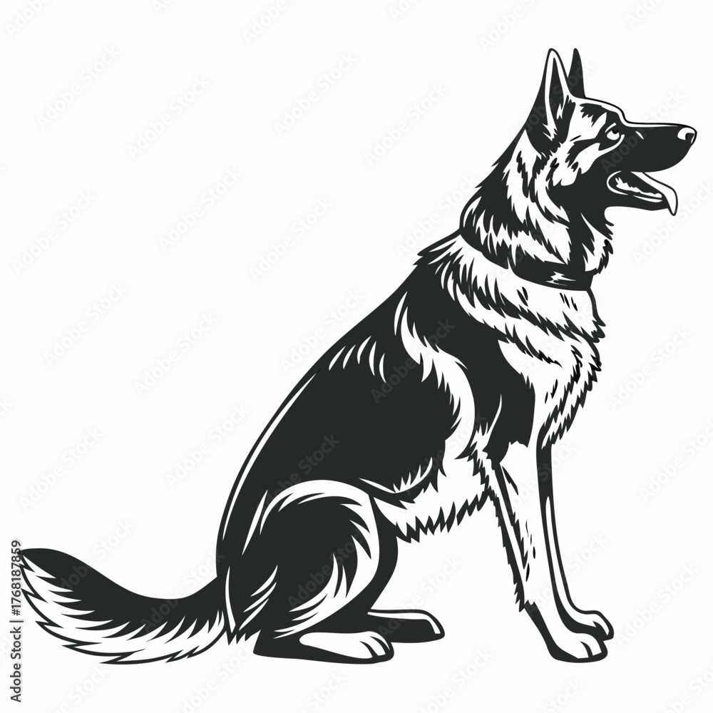 Fototapeta premium black and white dog