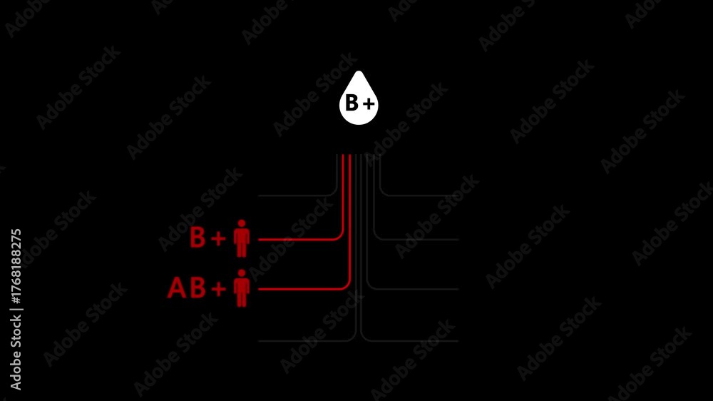 B Positive Blood Donation Compatibility Infographic – Who B+ Blood Can ...