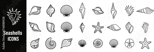 Seashells black color line art collection vector bundle set. 