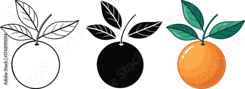 Set of three oranges in flat design with black outline and silhouette vector illustration