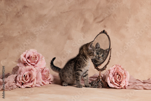 vintage cat