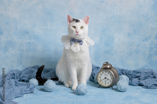 vintage cat