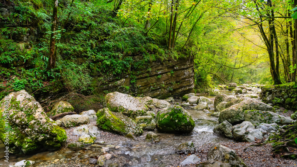 Fototapeta premium Green landscape of dreamy forest with river flowing between the great rocks, Kozjak, Slovenia.