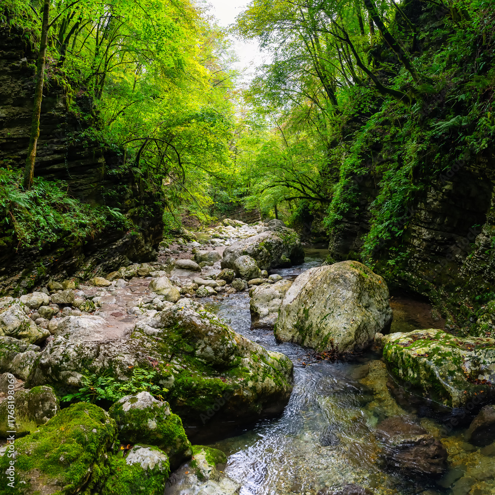 Fototapeta premium Beautiful river that flows through a closed canyon in the Kozjak forest, Triglav, Slovenia.