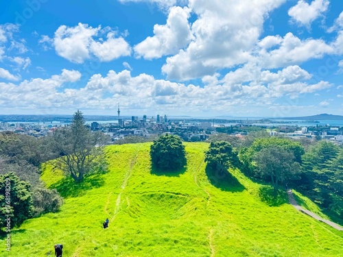 Metropolitan city view from green hill under blue summer sky.