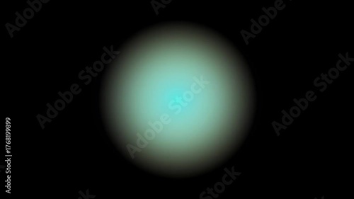 egg on black background