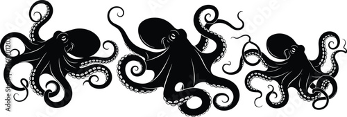 Octopus silhouette set, black and white vector illustration, curled tentacle detail, marine animal design, underwater creature art, ocean wildlife graphic