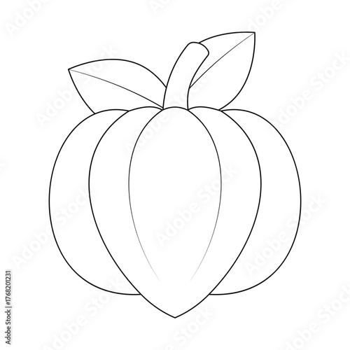 Ackee Fruit Outline for Coloring Book - Vector Line Art Illustration