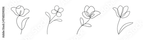 Delicate lilac flower sketch art botanical floral drawing