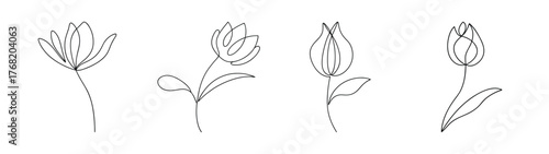 Four sketchy red hot poker flowers in various poses elegant botanical line art