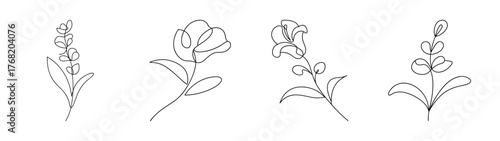 Artistic outline of snapdragon flowers showing delicate petal structure and stems