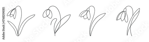 Delicate snowdrop flowers delicate pencil sketch artwork spring botanical art