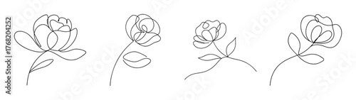 Four delicate peony flower line drawings on a
