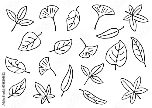 Leaf　line drawing　葉っぱ　モノクロ線画