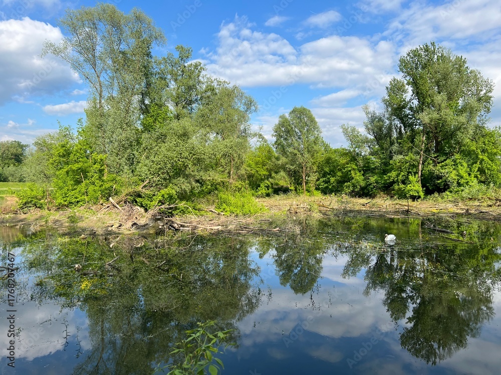 Fototapeta premium Special ornithological reserve Sava - Strmec and fishing area of Lakes Strmec (Croatia) - Posebni ornitološki rezervat Sava – Strmec i ribolovna zona jezera Strmec (Sveta Nedelja, Hrvatska)