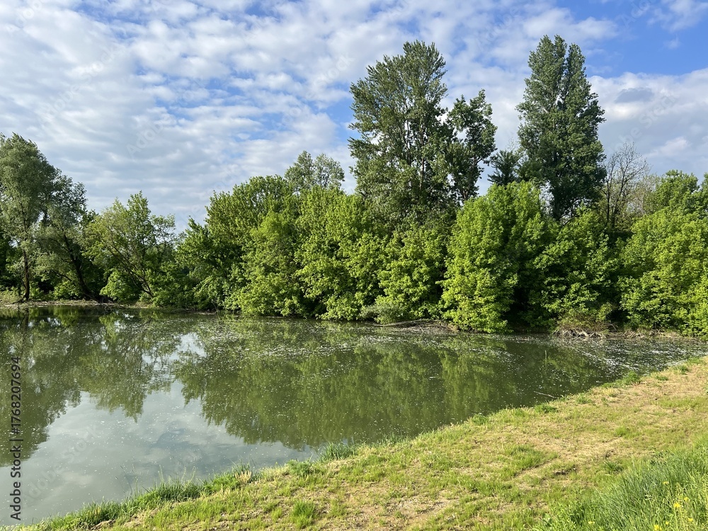Obraz premium Special ornithological reserve Sava - Strmec and fishing area of ​​Lakes Strmec (Croatia) - Posebni ornitološki rezervat Sava – Strmec i ribolovna zona jezera Strmec (Sveta Nedelja, Hrvatska)