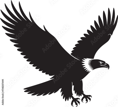 Eagle Silhouette Vector Bird Flying Wild Animal Freedom Design Wildlife Graphic Symbol