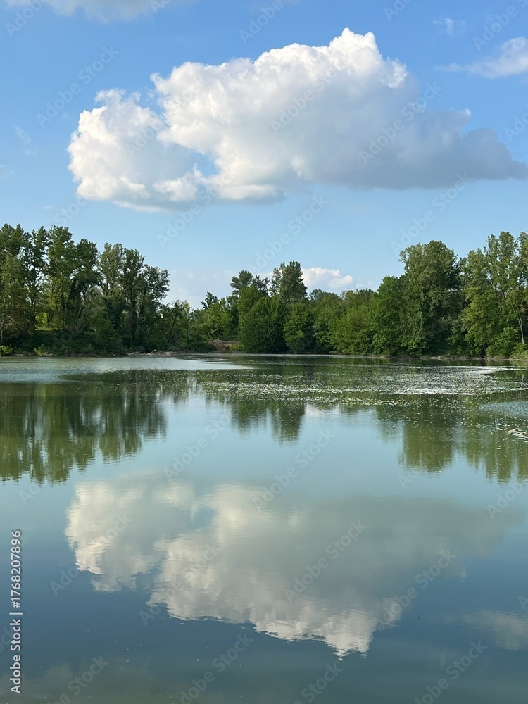 Fototapeta premium Special ornithological reserve Sava - Strmec and fishing area of ​​Lakes Strmec (Croatia) - Posebni ornitološki rezervat Sava – Strmec i ribolovna zona jezera Strmec (Sveta Nedelja, Hrvatska)