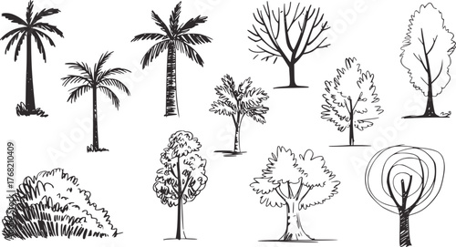 Black and white sketch of diverse trees and foliage illustration palm trees