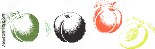 Peaches and leaves in various colors and styles fruit green