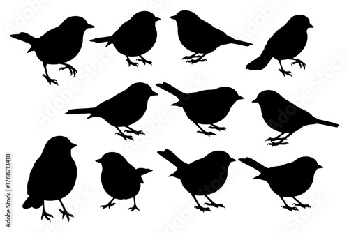 Cuadro en lienzo Set of bird silhouettes in various poses