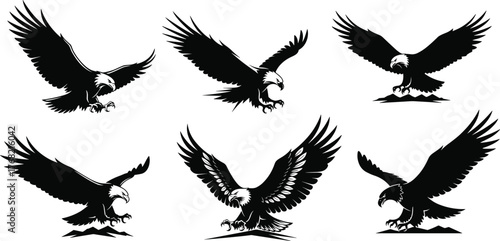 Eagle illustration, aggressive pose, flying eagle, attacking bird, black and white eagle, predator silhouette, majestic raptor, wildlife symbol, tattoo design, freedom icon