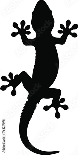 Silhouette of a gecko climbing isolated on a white background top view.