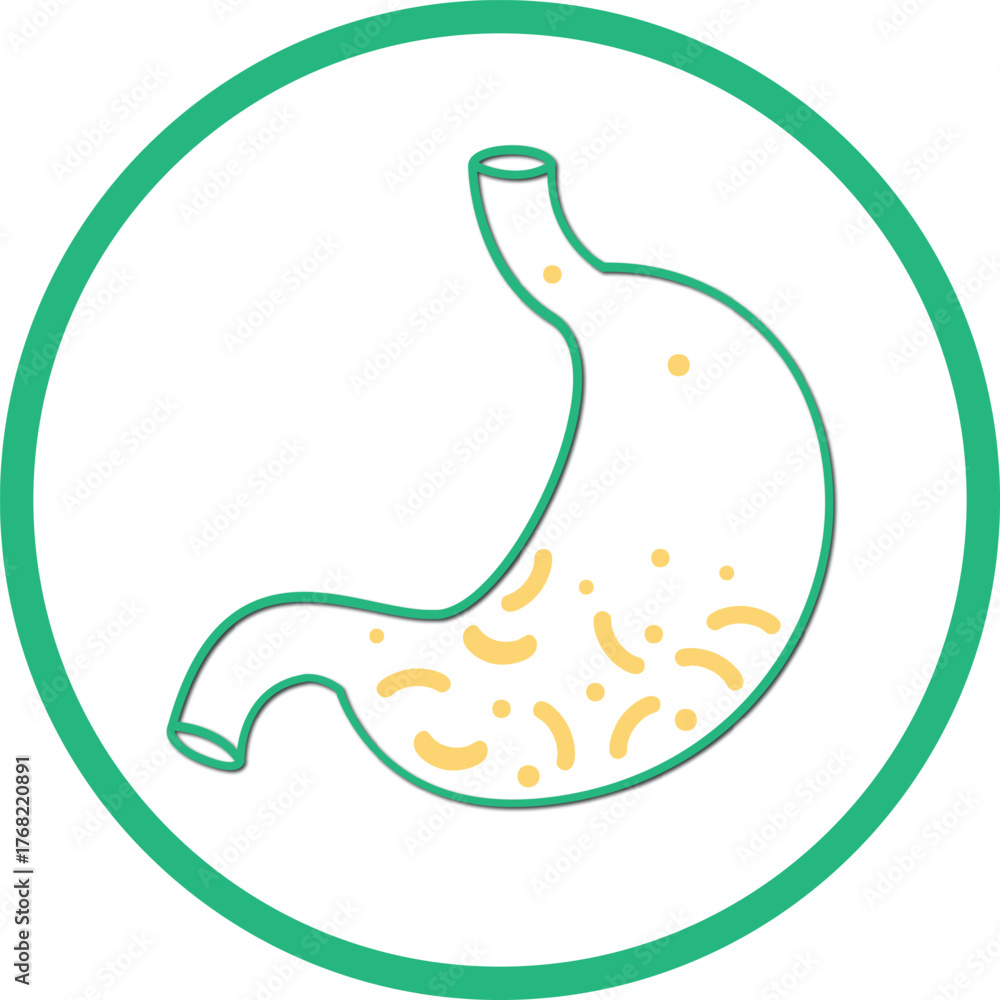 Fototapeta premium probiotics and stomach symbol