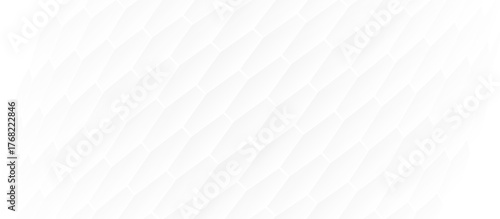 Abstract white clean diagonal hexagon texture background