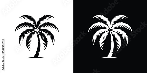 Palm Tree Silhouette Icon, Tropical Plant on Split Black and White Background