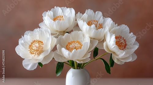 Delicate creamy white peony flowers with bright orange centers and green leaves in a white vase with soft brown background and natural daylight illumination
