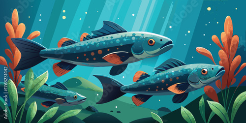 Vector postcard of three trout fish swimming underwater in cartoon style, simple but detail vector best for wallpaper, postcard and other design needs